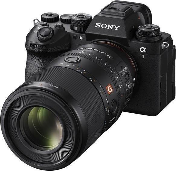 Actual product image Sony FE 100mm F2.8 Macro GM (Sony E, full size)