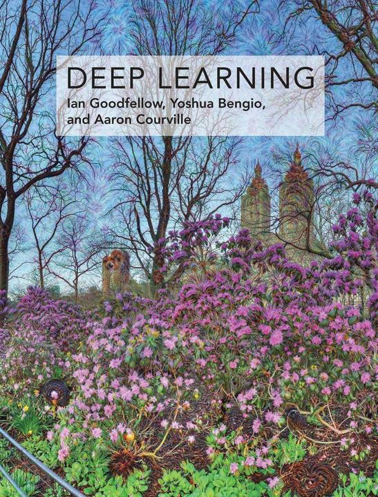 Actual product image deep learning (English, Ian Goodfellow, Yoshua Bengio, Aaron Courville, 2016)