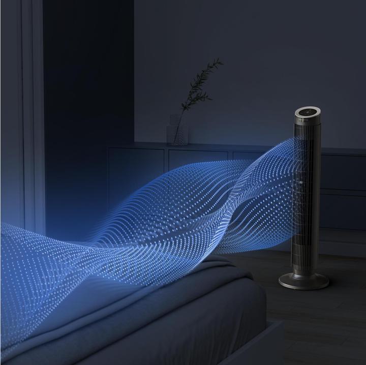 Image du produit Rowenta Eole Silence Force (58 dB)