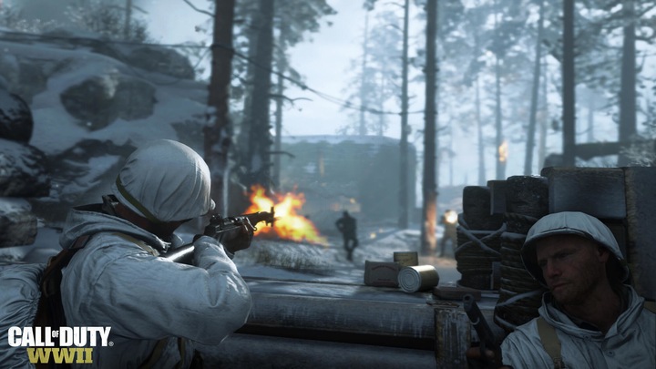 Immagine prodotto Activision Call of Duty: WWII (PS4, DE)