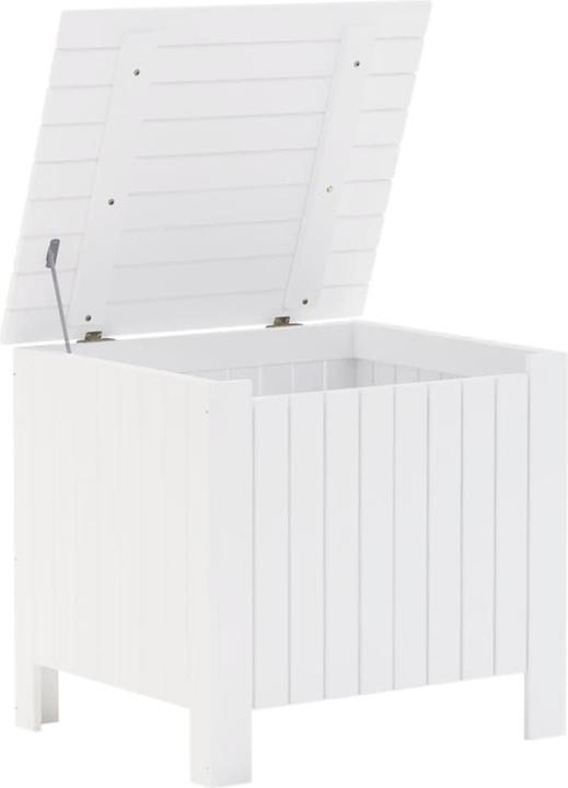 Actual product image vidaXL Truhe (49 cm, 1x)