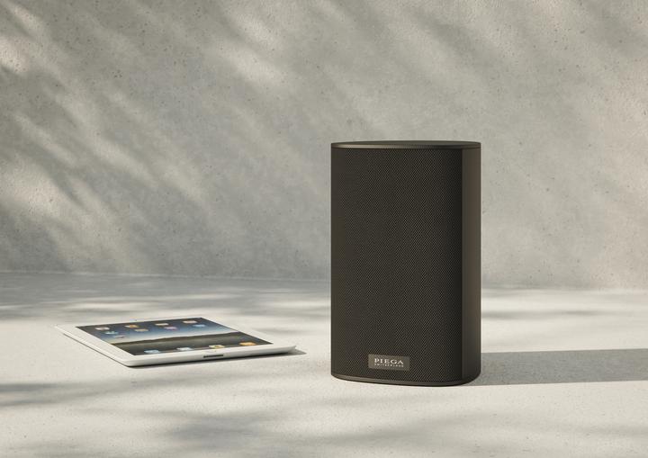 Actual product image Piega Ace 30 Wireless RX