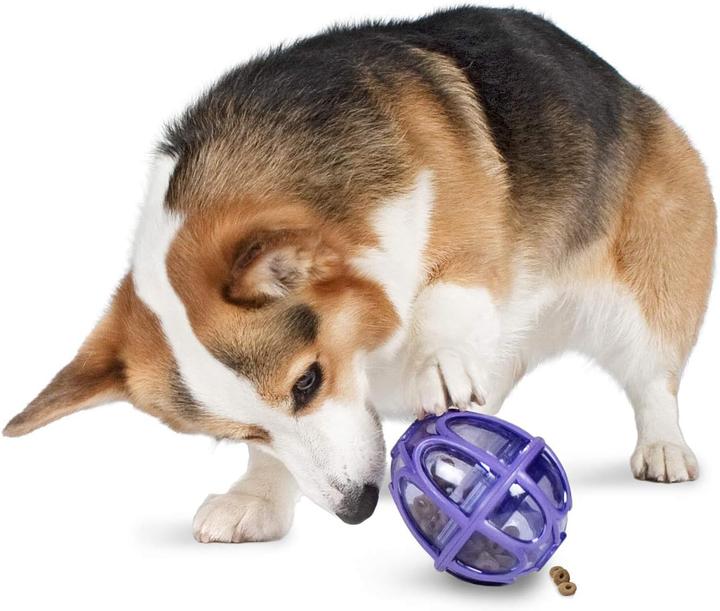 Produktbild PetSafe Kibble Nibble Hunde Snackspielzeug (Intelligenzspielzeug Hund)