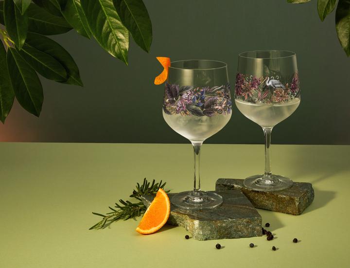 Immagine prodotto Ritzenhoff Schattenfauna (7.20 dl, 1 x, Bicchieri di gin)