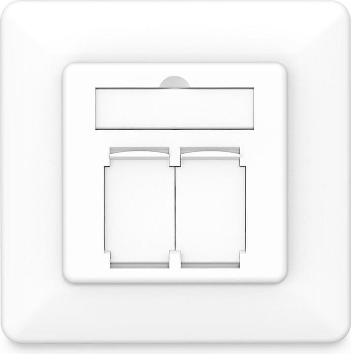 Actual product image Digitus Network socket