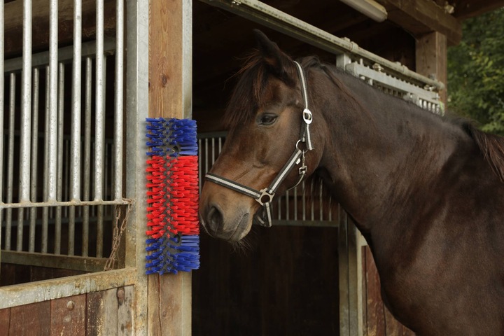 Actual product image Kerbl Scratching brush