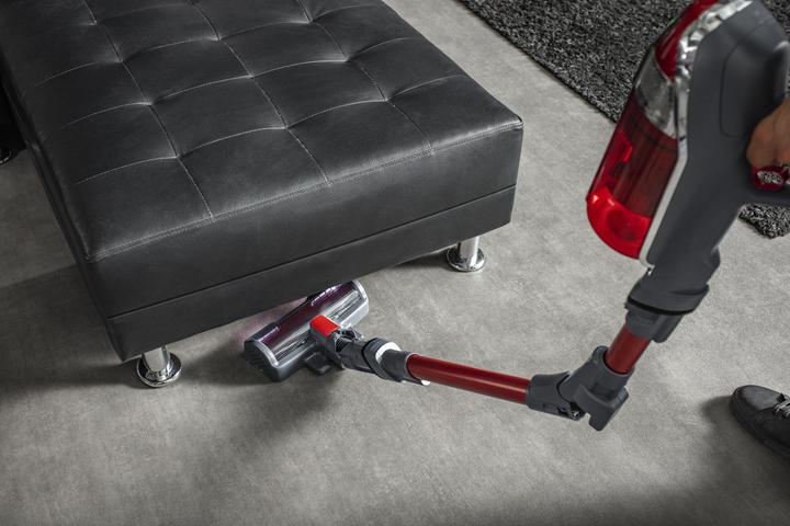 Actual product image Rowenta X-Force Flex 11.60 Animal