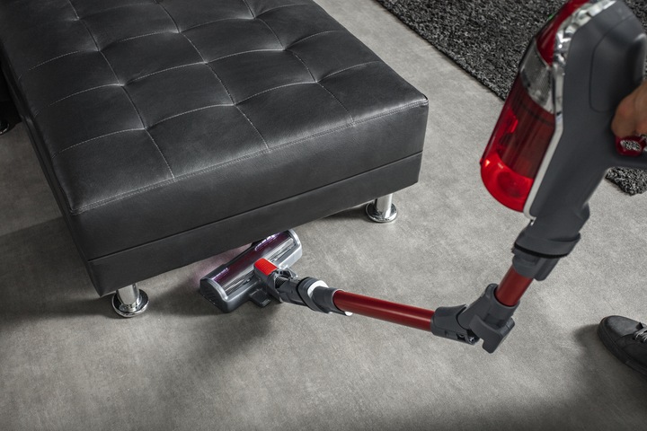 Produktbild Rowenta X-Force Flex 11.60 Animal