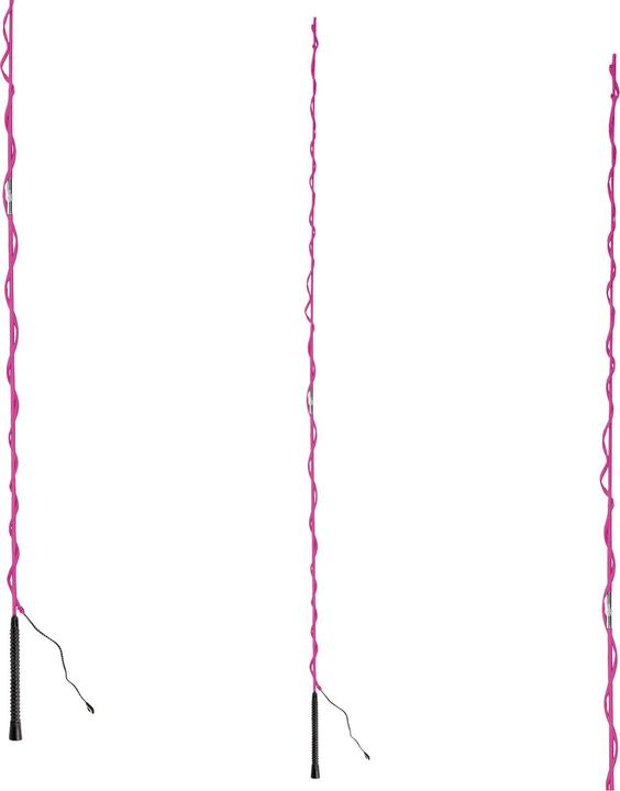 Waldhausen Chambrière équitation démontable et sans anneau