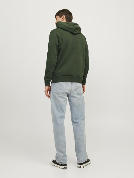 Immagine prodotto Jack & Jones JJELOGO SWEAT HOOD 2 COL 24/25 NOOS (XS)