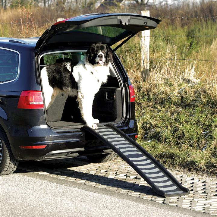 Produktbild Trixie Klapp-Rampe (Hund, Faltbar)