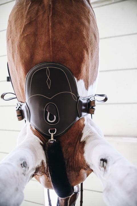 Immagine prodotto Kentucky Horsewear Sottopancia corto da equitazione