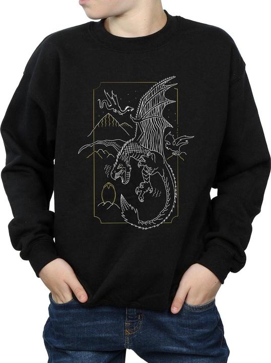 Produktbild Dragon Line Art Sweatshirt Jungen (128)