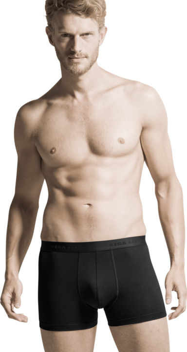 Actual product image ISA Bodywear Panty (L, pack of 2)