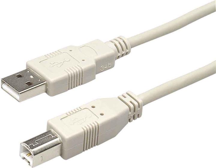 Actual product image Bachmann USB cable - USB (M) to USB (M) - USB 2.0 (3 m, USB 2.0)