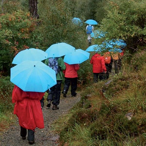 Actual product image Euroschirm Swing liteflex