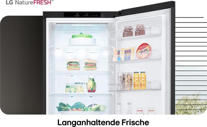 Actual product image LG GBV22NCCEP (387 l)