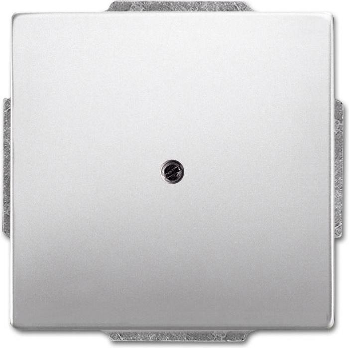 Actual product image Busch-Jaeger Central disk