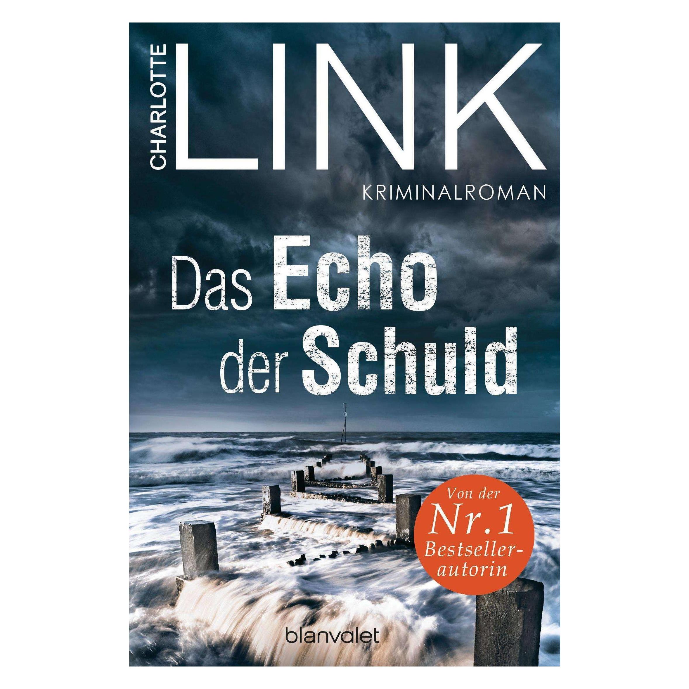 Das Echo Der Schuld thumbnail
