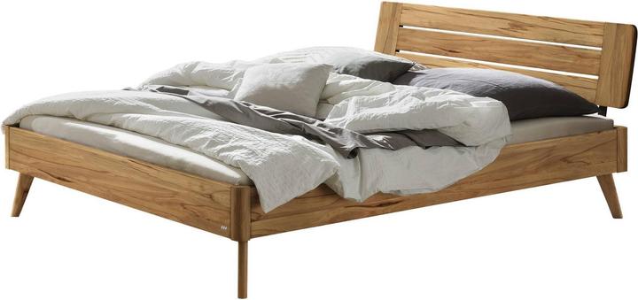 Hêtre sauvage naturel