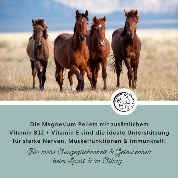 Produktbild Annimally Magnesium Pellets (1000 g)