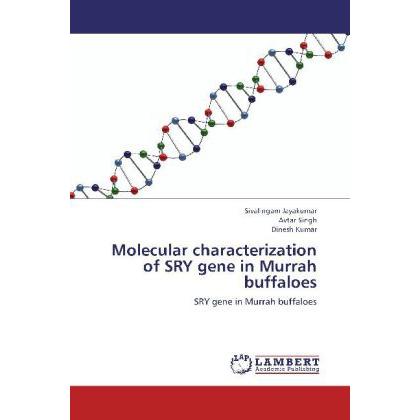 Molecular characterization of SRY gene in Murrah buffaloes, Fachbücher von Avtar Singh, Dinesh Kumar, Sivalingam Jayakum...