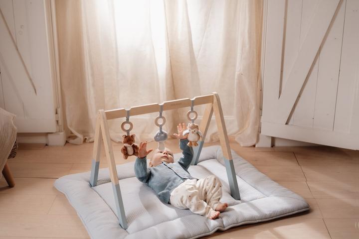 Image du produit Little Dutch Babygym Forest Friends