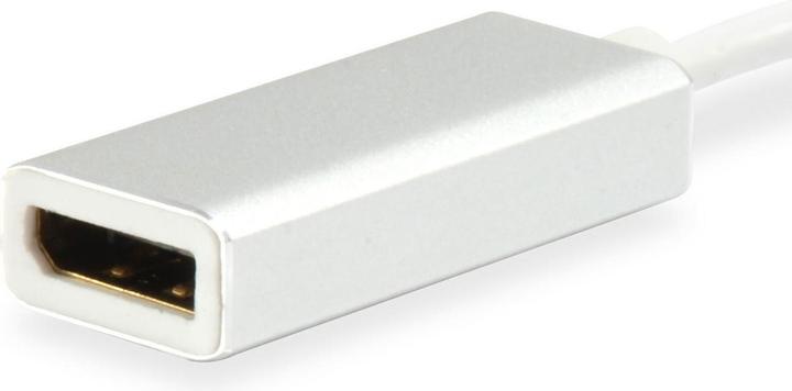 Produktbild equip 133458 USB Typ C auf DisplayPort Adapter 15cm (USB Typ-C, 25 cm)