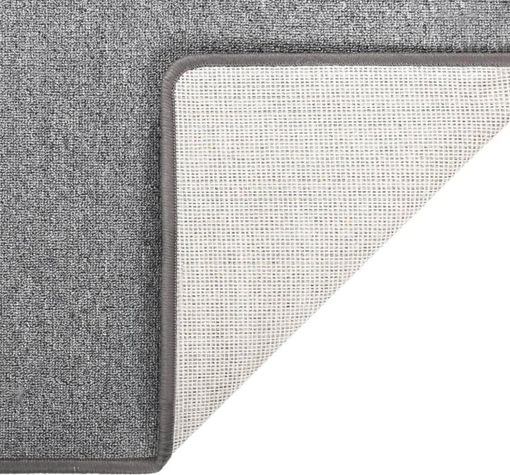 Image du produit VidaXL Tapis de couloir (80 x 250 cm)