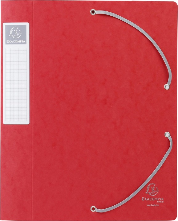 Actual product image Exacompta Archive boxes (A4)