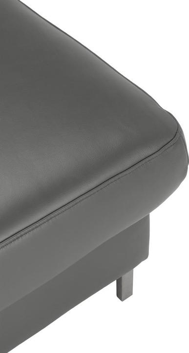 Actual product image Dieter Knoll Collection Latina-L (Corner sofa)