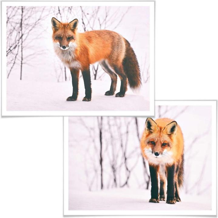 Immagine prodotto Trenddeko Volpe nella neve - 2 pezzi (30 x 24 cm)