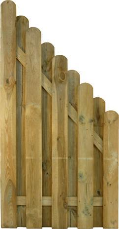 Larus Lattenzaun Sonnentau (172 cm)