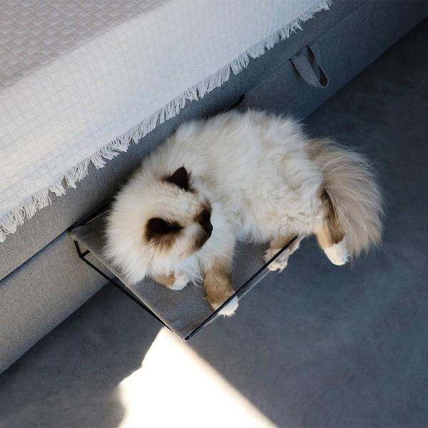 Image du produit D&D Oliver (Chat)