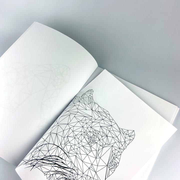 Produktbild Polygone Tiere zum Ausmalen