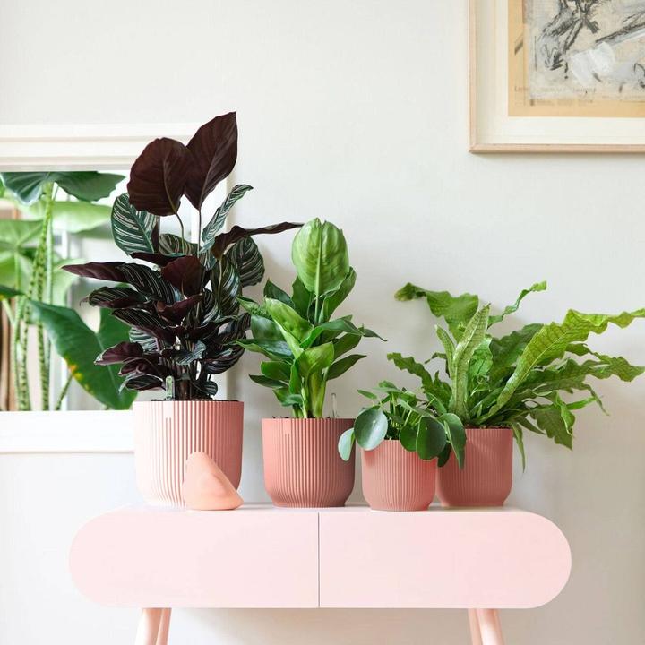 Actual product image Elho Vibes Fold (22 cm)