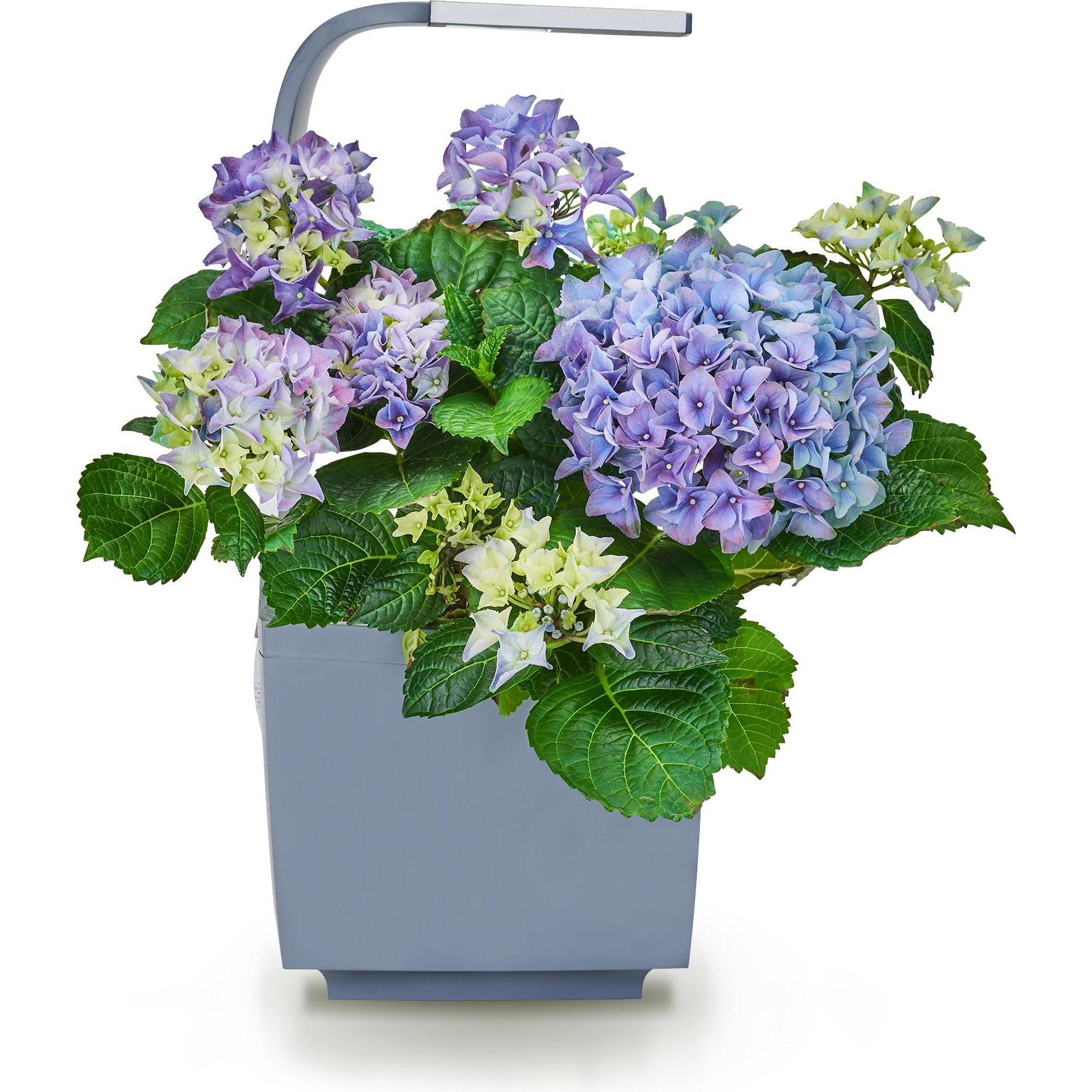 Tregren Kräutertopf T3 (19.50 cm) (T3 Grey)