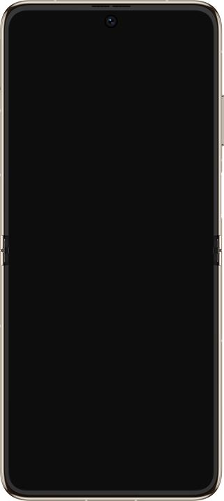 Produktbild Huawei P50 Pocket (512 GB, Premium Gold, 6.90", Dual SIM, 4G)