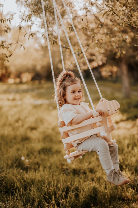 Actual product image small foot Dino swing Rex