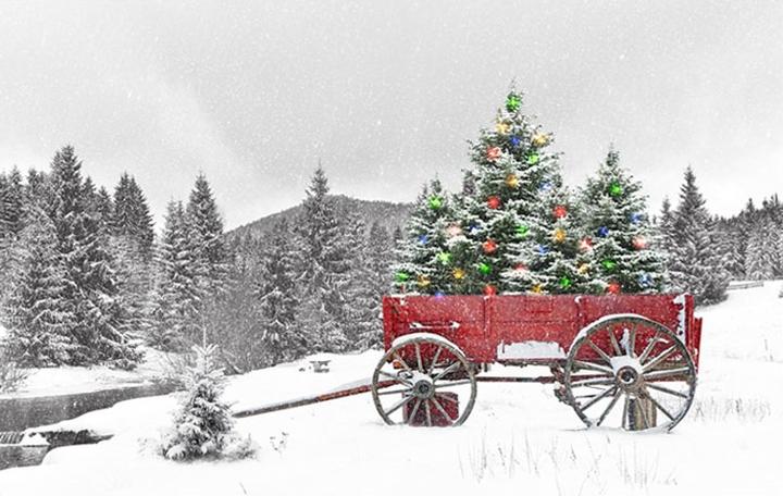 Image du produit GuGus Image (60 x 40 cm)