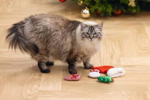 Produktbild Beeztees Weihnachtsspielzeug für Katzen (Plüschspielzeug Katze)
