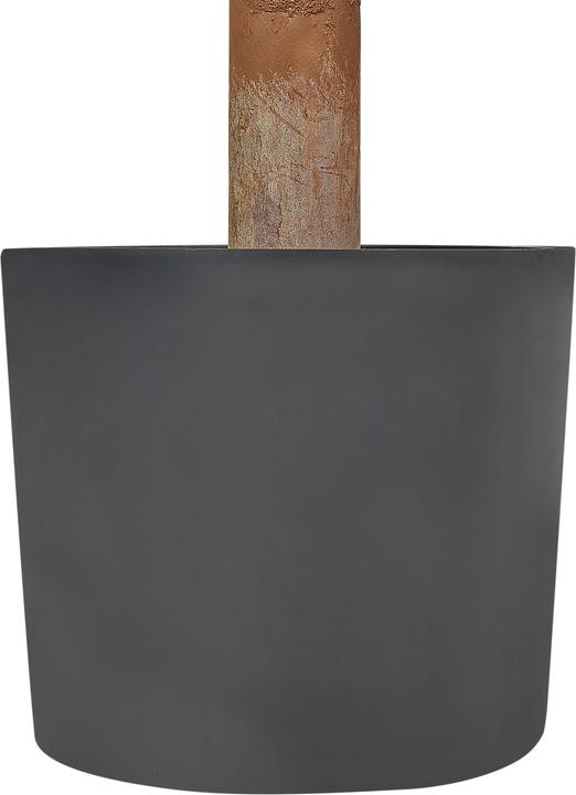 Immagine prodotto Beliani Buxus Ball Tree (154 cm)