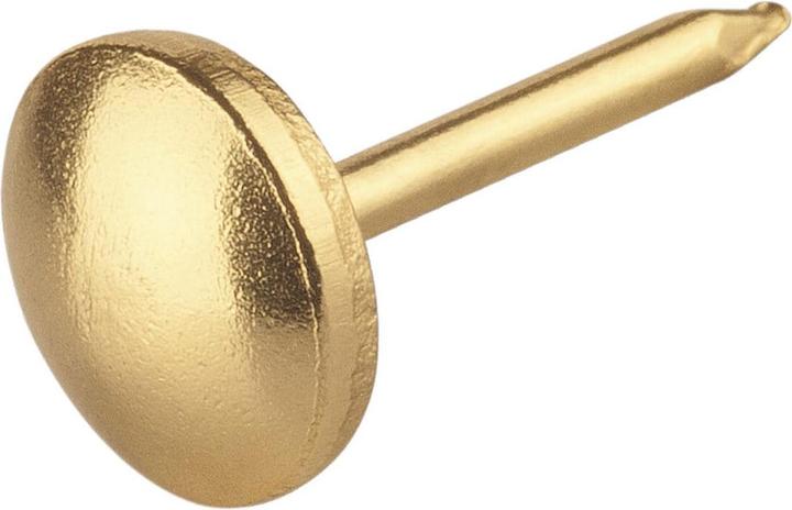 Image du produit Suki Clous de tapissier 9x13mm (55 pièce(s), 13 mm)