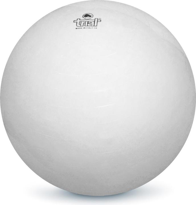 Trial Ball Boa-Ball (60 cm)