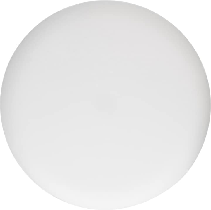 Produktbild Max Hauri Deckenrosette rund Federbügel