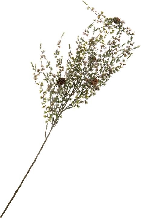 Produktbild DPI Lärchen Zweig, geeist mit Zapfen, L 97 cm