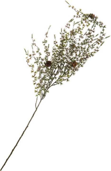 Actual product image DPI Larch branch, iced with cones, L 97 cm