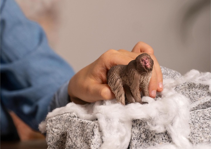 Immagine prodotto Schleich Macaco giapponese