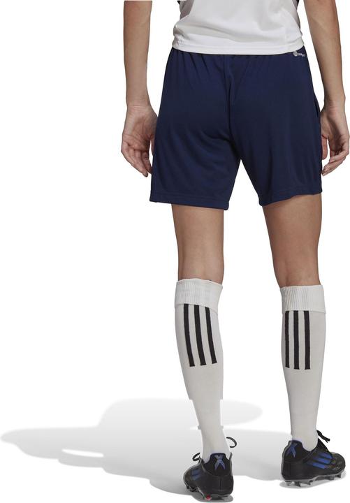 Image du produit adidas Short d'entraînement Entrada 22 Femmes (S)