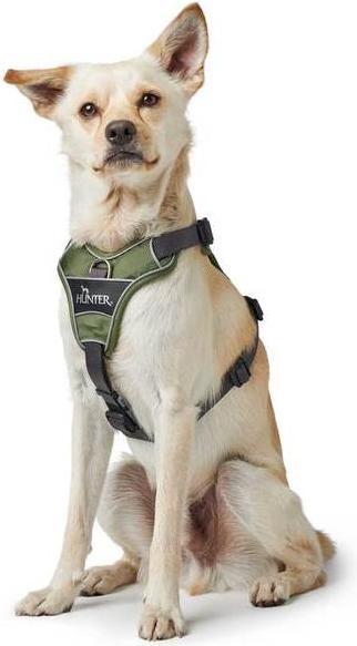 Productafbeelding Hunter Divo servies (L, Hond, Hondensport)